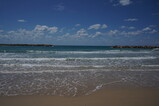 DSC00772.JPG.small.jpeg