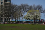 DSC00807.JPG.small.jpeg