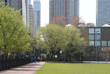 DSC00809_e.JPG.small.jpeg