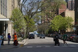 DSC00816.JPG.small.jpeg
