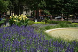 DSC01799.JPG.small.jpeg