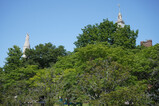 DSC01817_e.JPG.small.jpeg