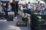 DSC01940.JPG.small.jpeg