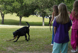 DSC02583_e.JPG.small.jpeg