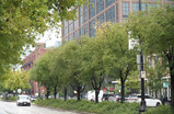 DSC03702_e.JPG.small.jpeg
