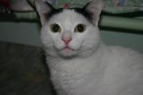img375.jpeg.small.jpeg
