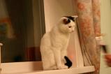 img378.jpeg.small.jpeg