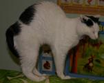 img384.jpeg.small.jpeg